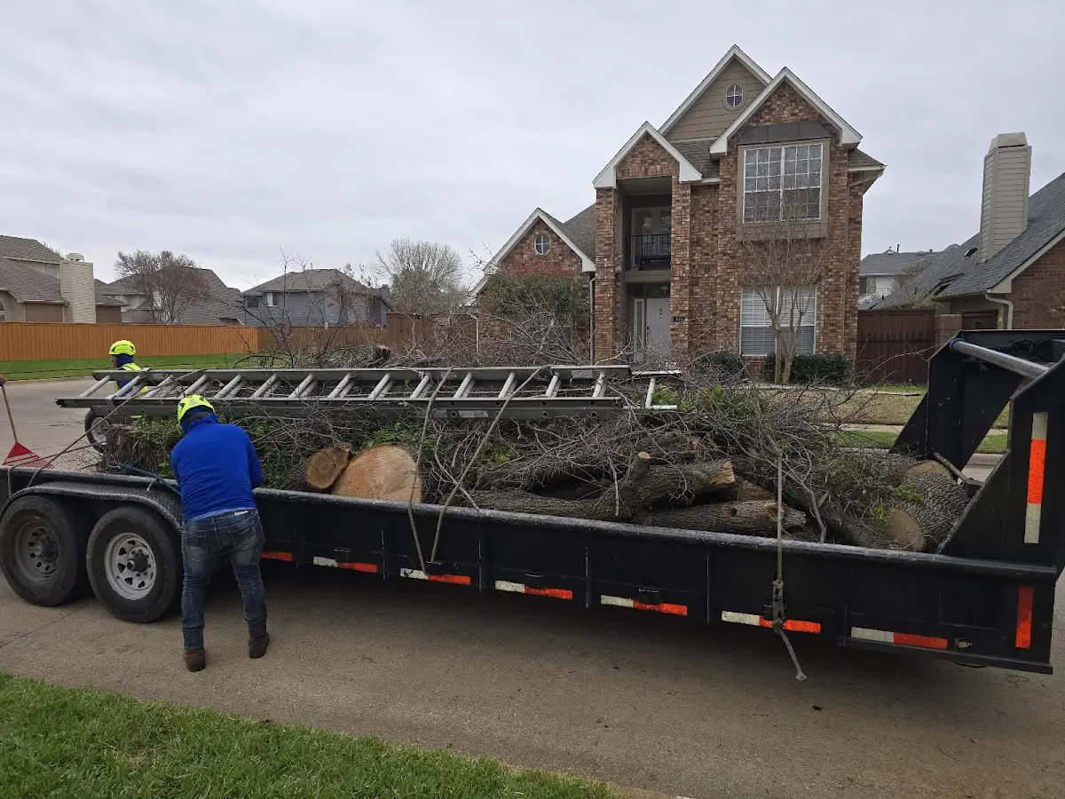 Expert Tree Removal with proper safety equipment in Masury
